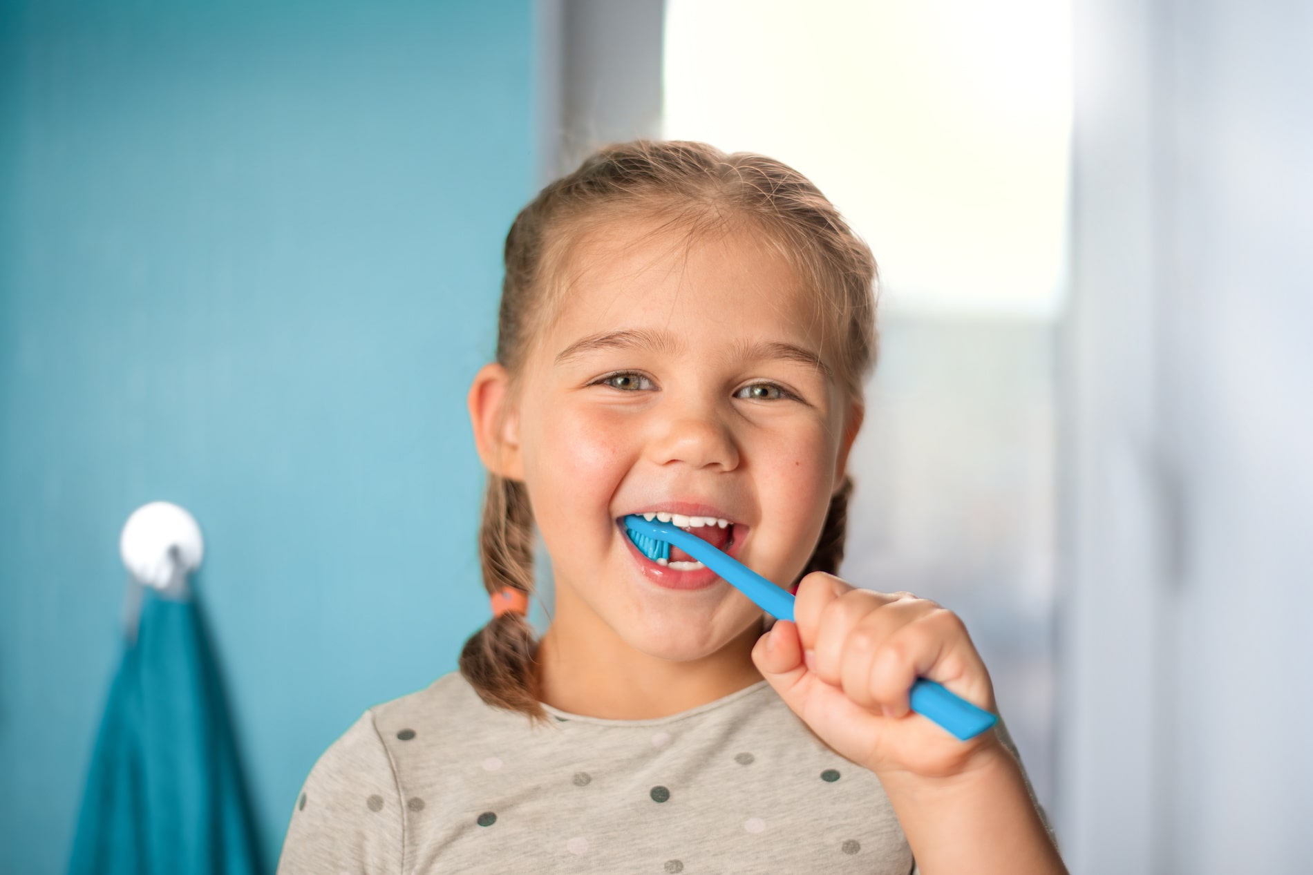 pediatric teeth cleanings from lenahan smiles in st louis mo